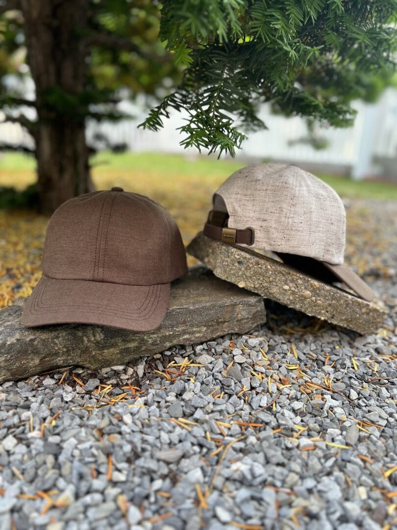 Two hats are laying on a rock near a tree.